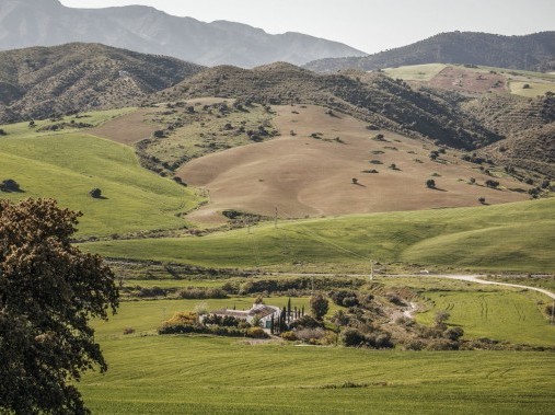 Cortijo Rosas Cantares