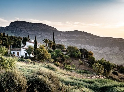 Cortijo Rosas Cantares