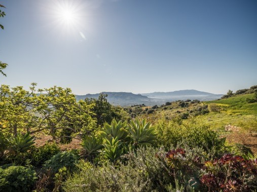 Cortijo Rosas Cantares