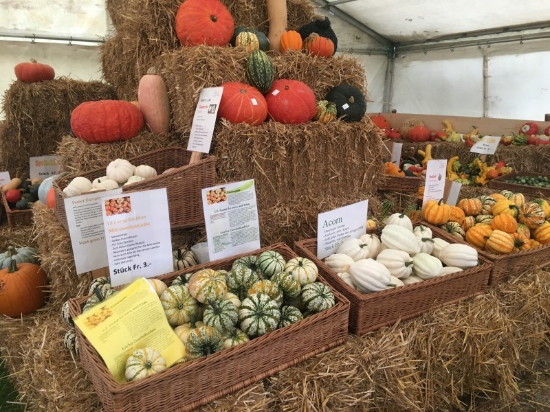 Hofladen - Erlebnishof Farnere Swiss-Lodge