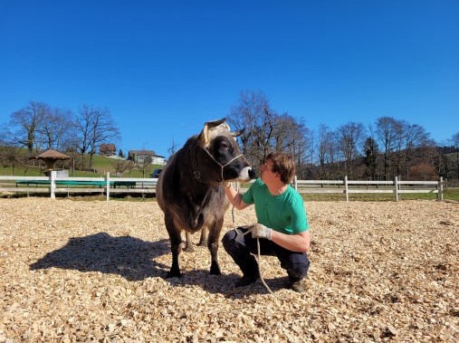 Stable animals thrill young and old - Adventure farmyard Farnere Swiss-Lodge