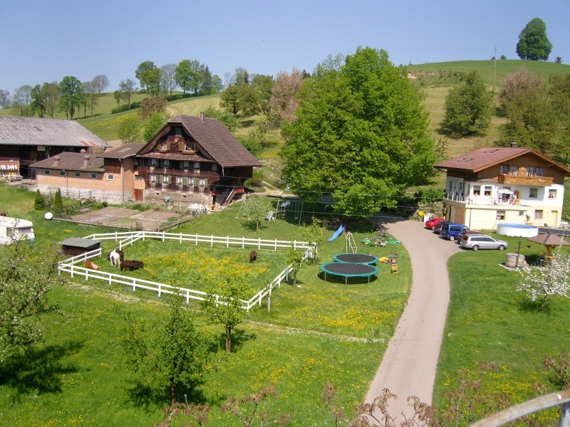Aussenansicht im Sommer - Erlebnishof Farnere Swiss-Lodge