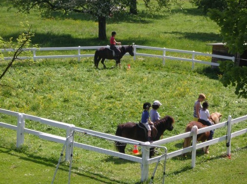 Stable animals thrill young and old - Adventure farmyard Farnere Swiss-Lodge