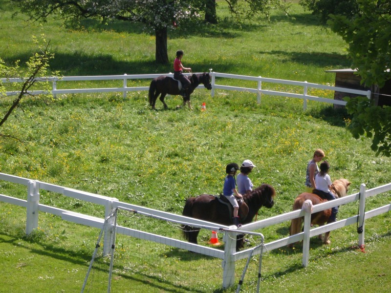 Tiere im Stall entzücken die Kleinen und Grossen - Erlebnishof Farnere Swiss-Lodge