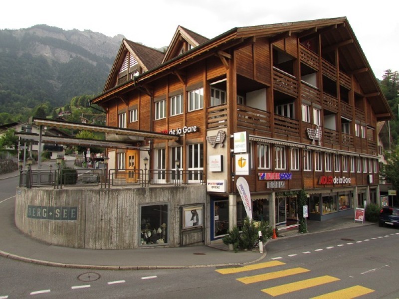 Exterior view in summer - Holiday house Adler de la Gare