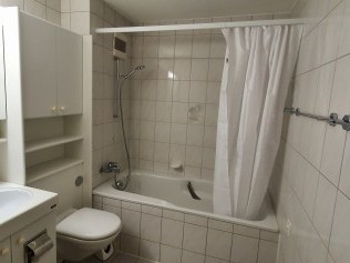 Bathroom - Holiday house Adler de la Gare