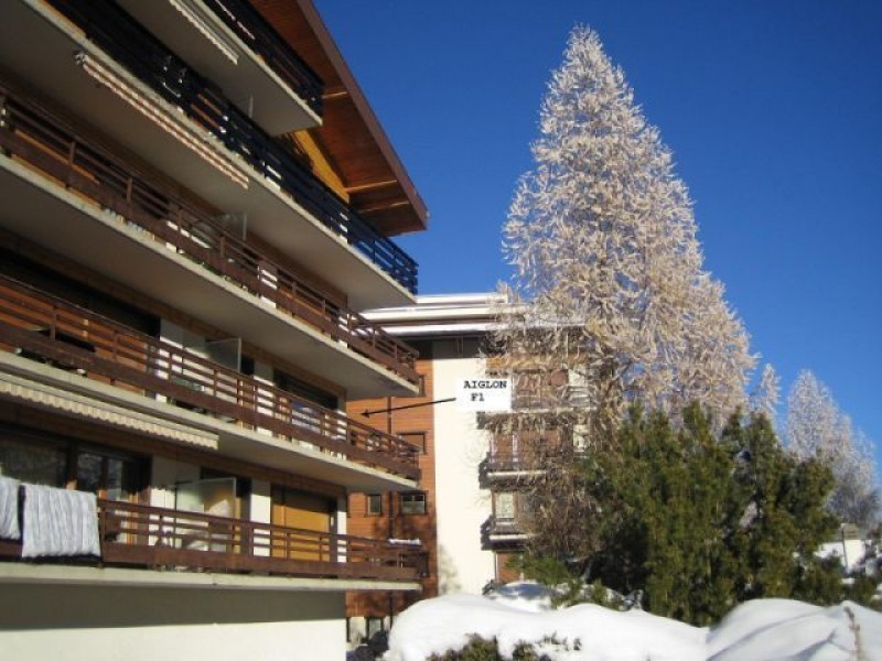 Vue extérieure en hiver - Maison de vacances Aiglon