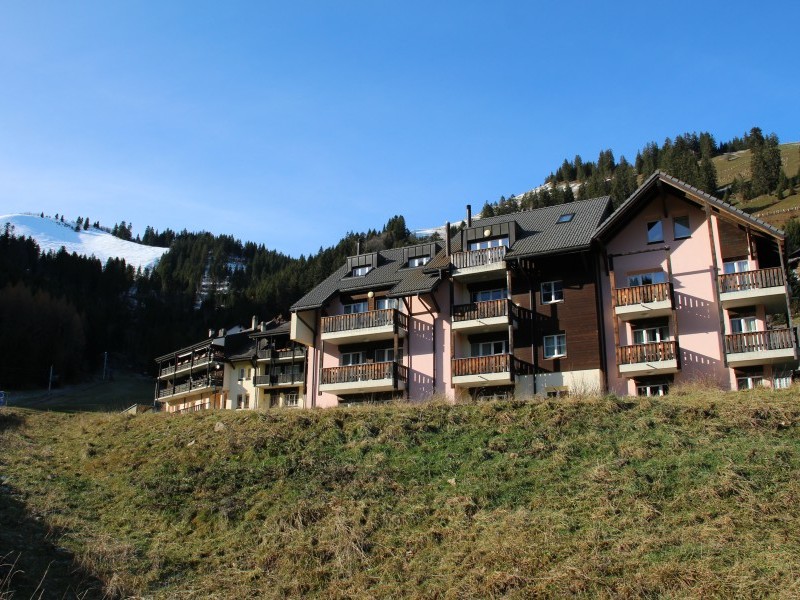 Aussenansicht im Sommer - Ferienhaus Andromède