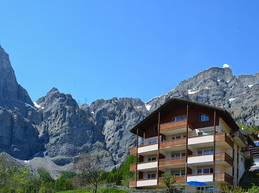 Aussenansicht im Sommer - Ferienhaus Artemis