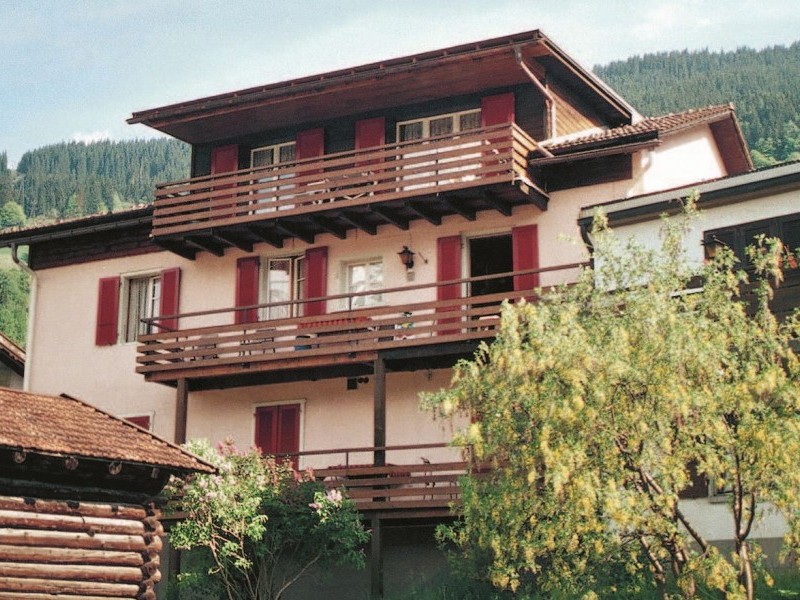 Aussenansicht im Sommer - Ferienhaus Bargetzi