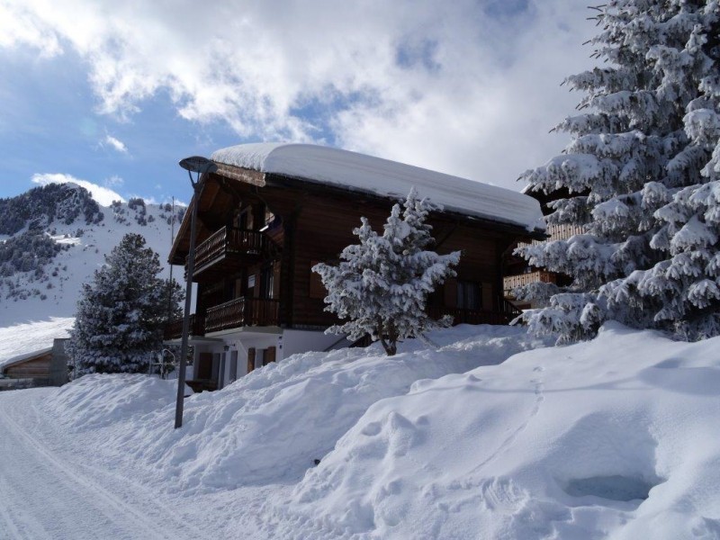 Vue extérieure en hiver - Maison de vacances Beata