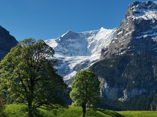 Vista sulle montagne - Casa di vacanza Bergfink Grindelwald