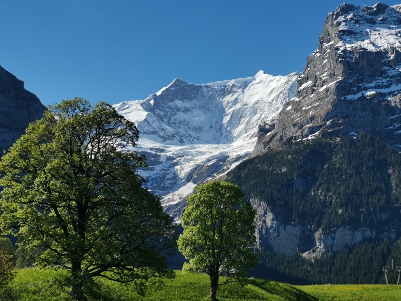 Blick auf die Berge - Ferienhaus Bergflink Grindelwald