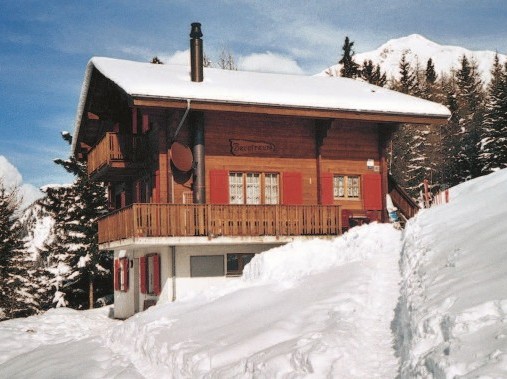 Aussenansicht im Winter - Ferienhaus Bergfreund