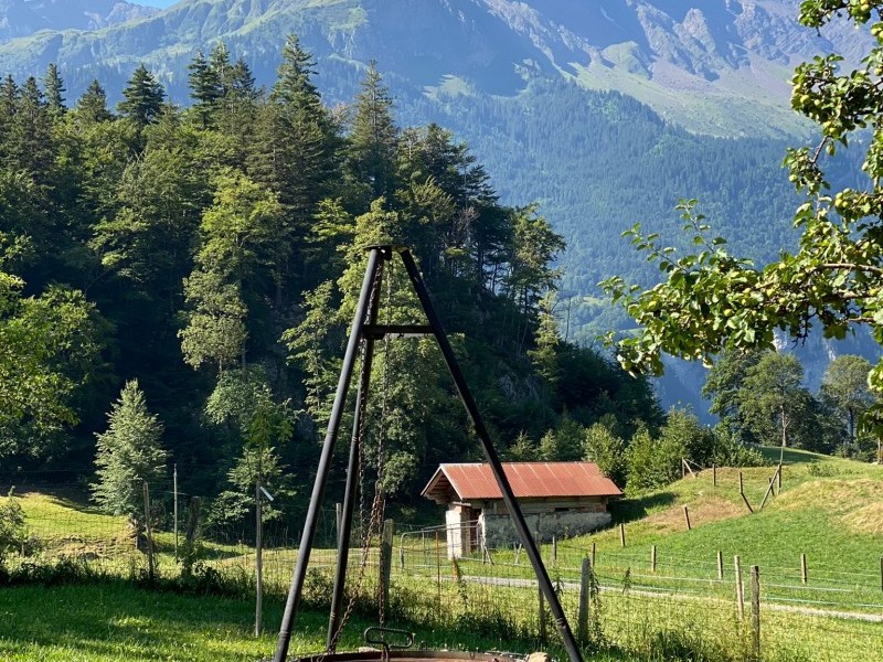 Aussenansicht im Sommer - Ferienhaus Brünig