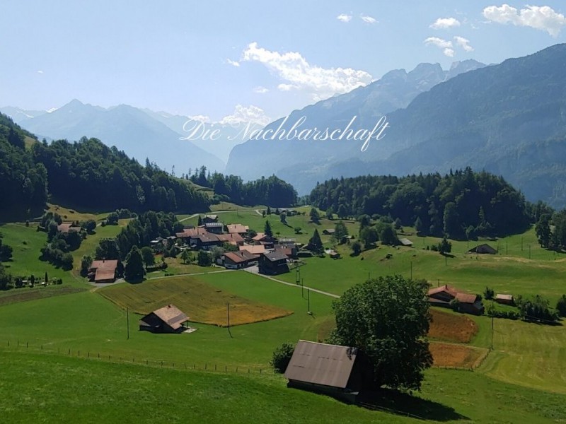 Sicht im Sommer auf das Wohnquartier