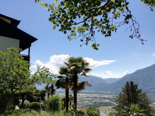 Exterior view in summer - Casa Meister Contra