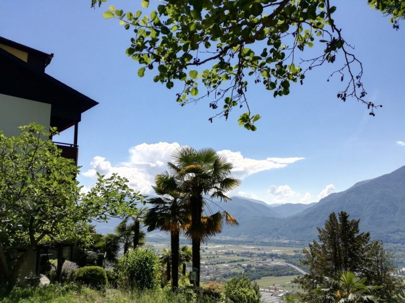 Aussenansicht im Sommer - Ferienhaus Casa Meister