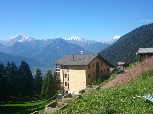 Aussicht im Sommer - Ferienhaus Chumma