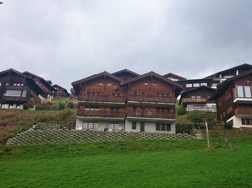 Aussenansicht im Sommer - Ferienhaus Chumma