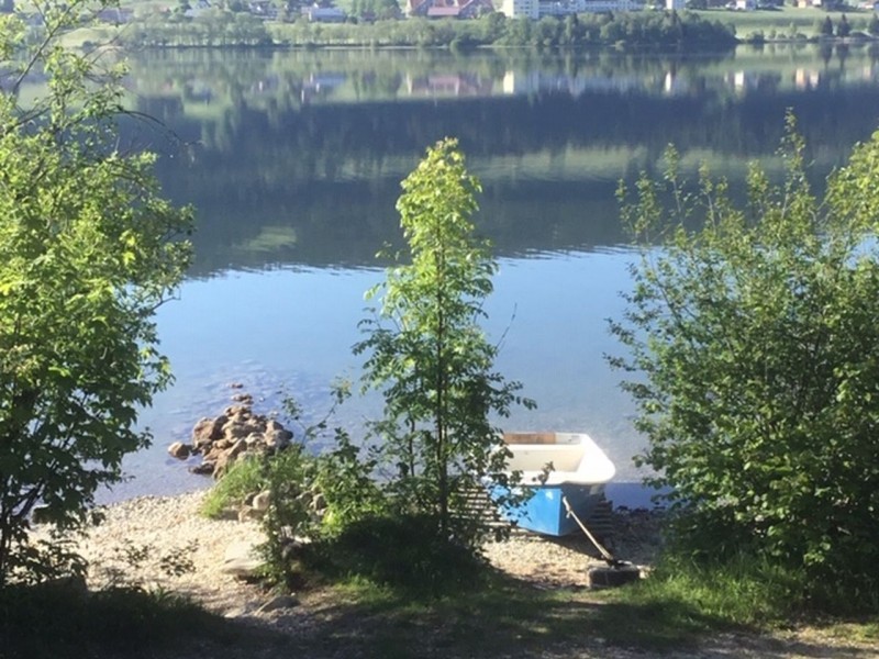Aussenansicht im Sommer am See - Ferienhaus Clapotis