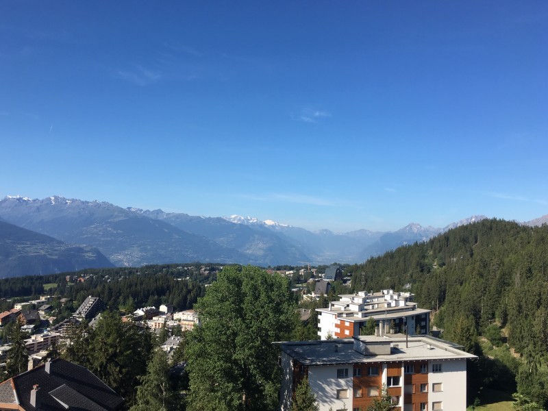 Vue extérieure en été - Maison de vacances Cransalpin