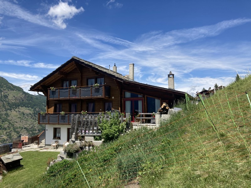 Aussenansicht im Sommer - Ferienhaus Dorfblick
