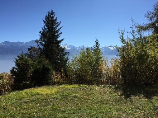 Aussenansicht im Sommer - Ferienhaus Eglantine