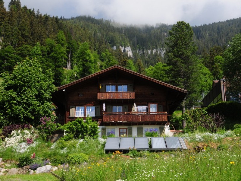 Exterior view in summer - Holiday house Flüehblüemli Beatenberg