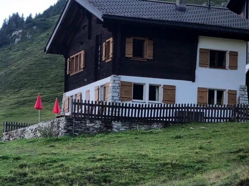 Vue extérieure en été - Maison de vacances Fruka