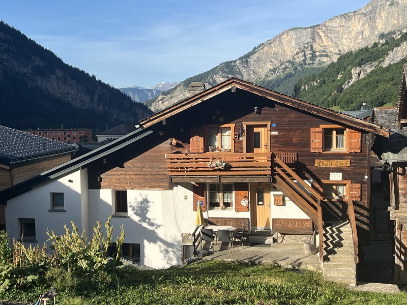 Aussenansicht im Sommer - Ferienhaus Ideal