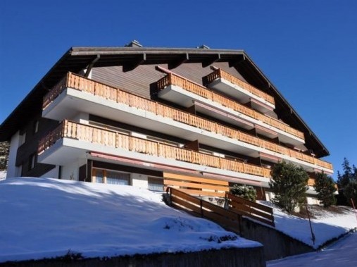 Aussenansicht im Winter - Ferienhaus Mont d'Or