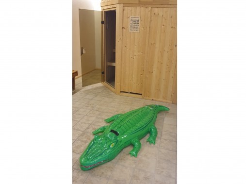 Sauna - Holiday house Monte Verde