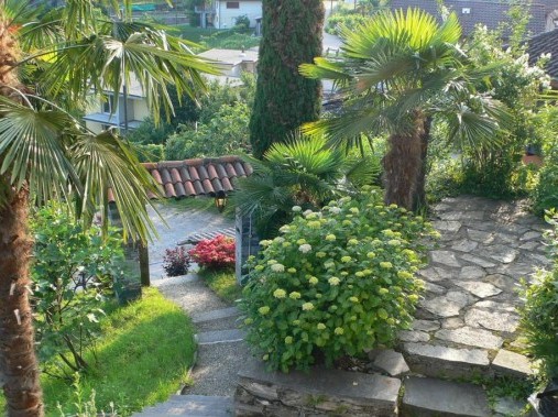 Exterior view in summer - Holiday house Petra