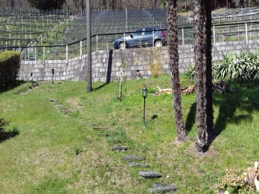 Exterior view in summer - Holiday house Diego Braghetta