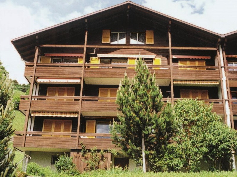 Aussenansicht im Sommer - Ferienhaus Wetterhorn Hasliberg