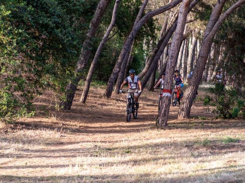 Tours à vélo - Riva degli Etruschi San Vincenzo