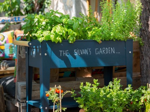 Osteria Paradiso - Holiday complex Rustici della Verzasca