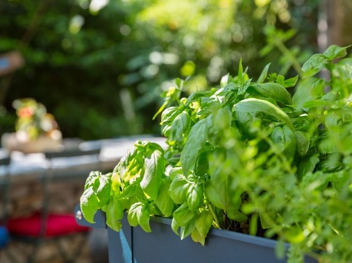 Osteria Paradiso - Holiday complex Rustici della Verzasca