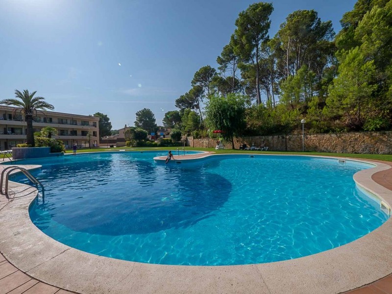 Pool landscape - Golf Beach Residence Pals