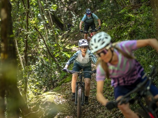 Splendide passeggiate in bicicletta sul mare e nei boschi della Maremma