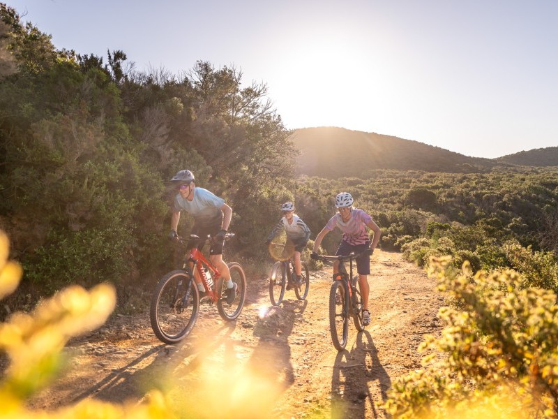 Herrliche Biketouren am Meer und in den Wäldern der Maremma