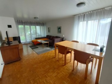 Salle de séjour - Haus am See Unterterzen