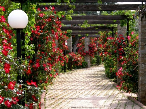 Vista sulla struttura di vacanze - Caravelle Camping Village