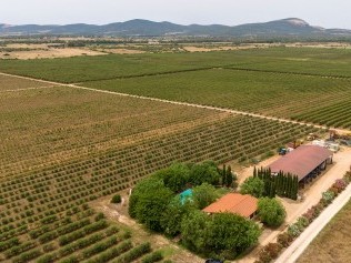 Villag Santa Barbara - Podere Monte Sixeri Residenze di Campagne