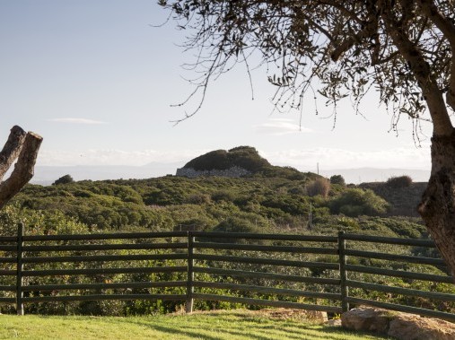 Vue sur l'arrière-pays - Podere Monte Sixeri Residenze di Campagna