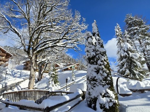 Vista esterna in inverno - Villaggio turistico Reka Hasliberg