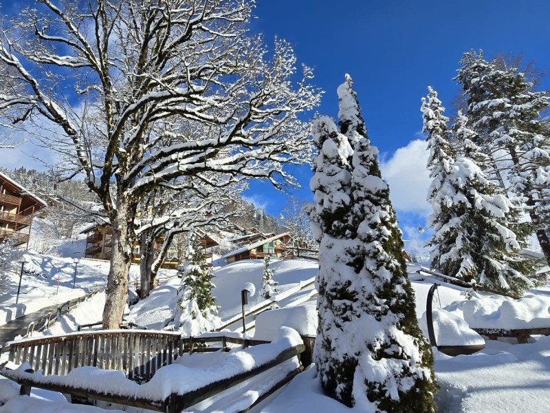 Aussenansicht im Winter - Reka-Feriendorf Hasliberg