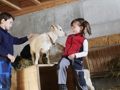 Vue extérieure en été - Village de vacances Reka Urnäsch