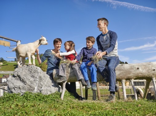 Vue extérieure en été - Village de vacances Reka Urnäsch